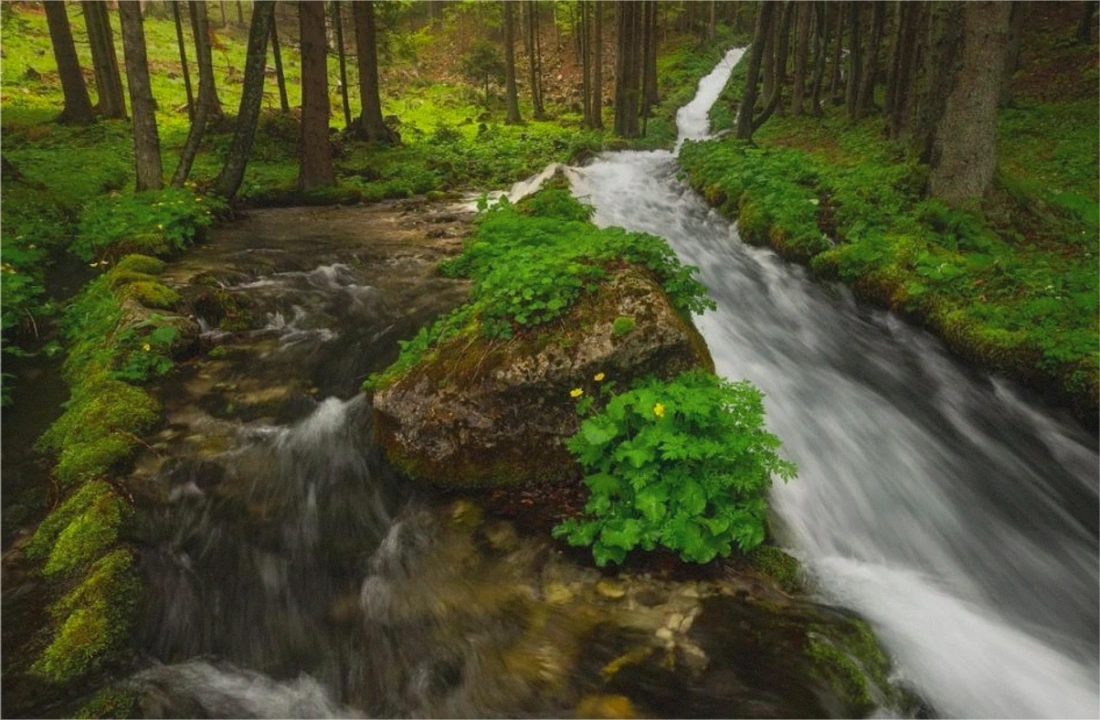 Tennessee land parcel records for How to Sell Land Without a Realtor in Tennessee