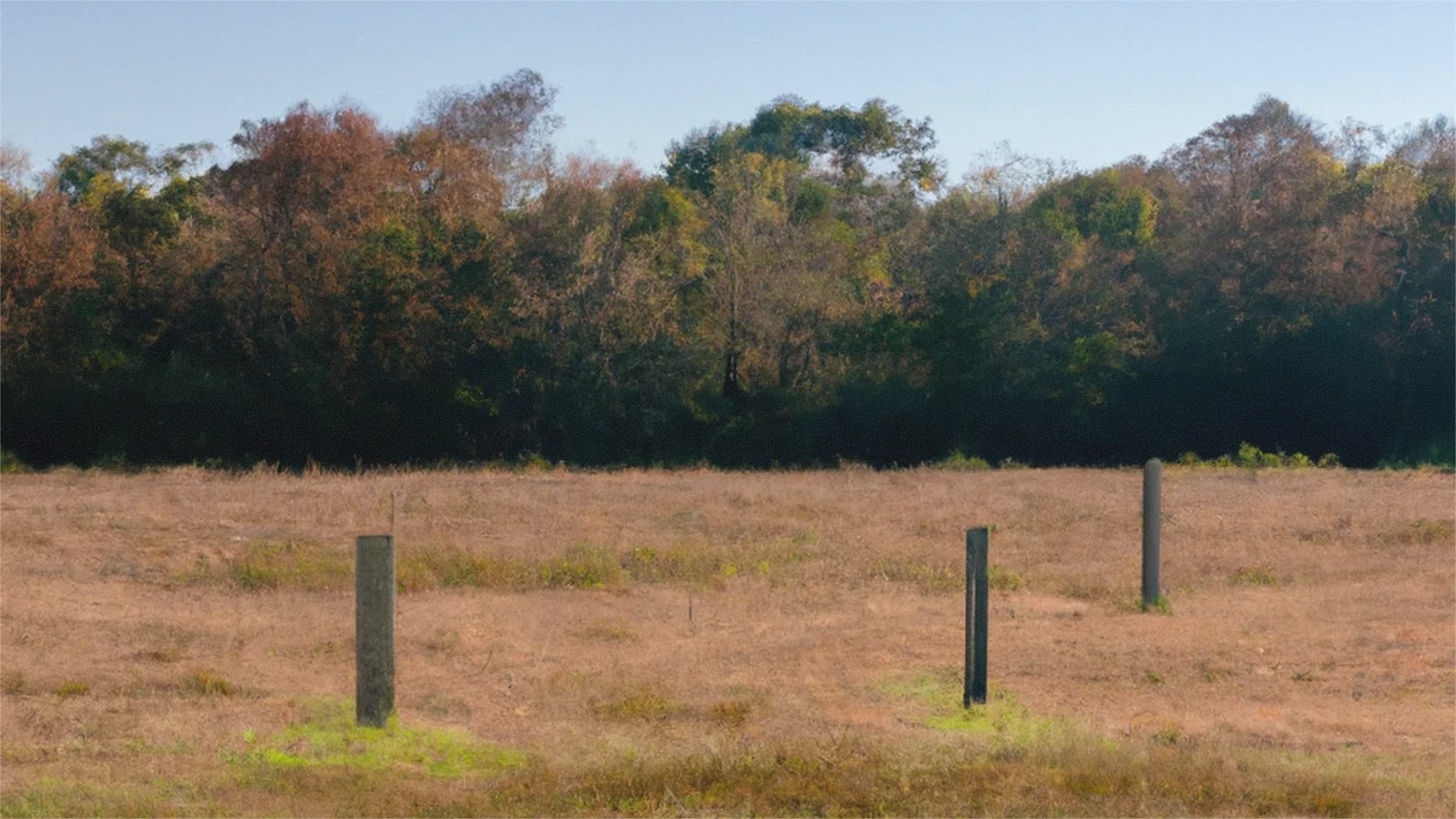 Open Tennessee land access road near Tracy City