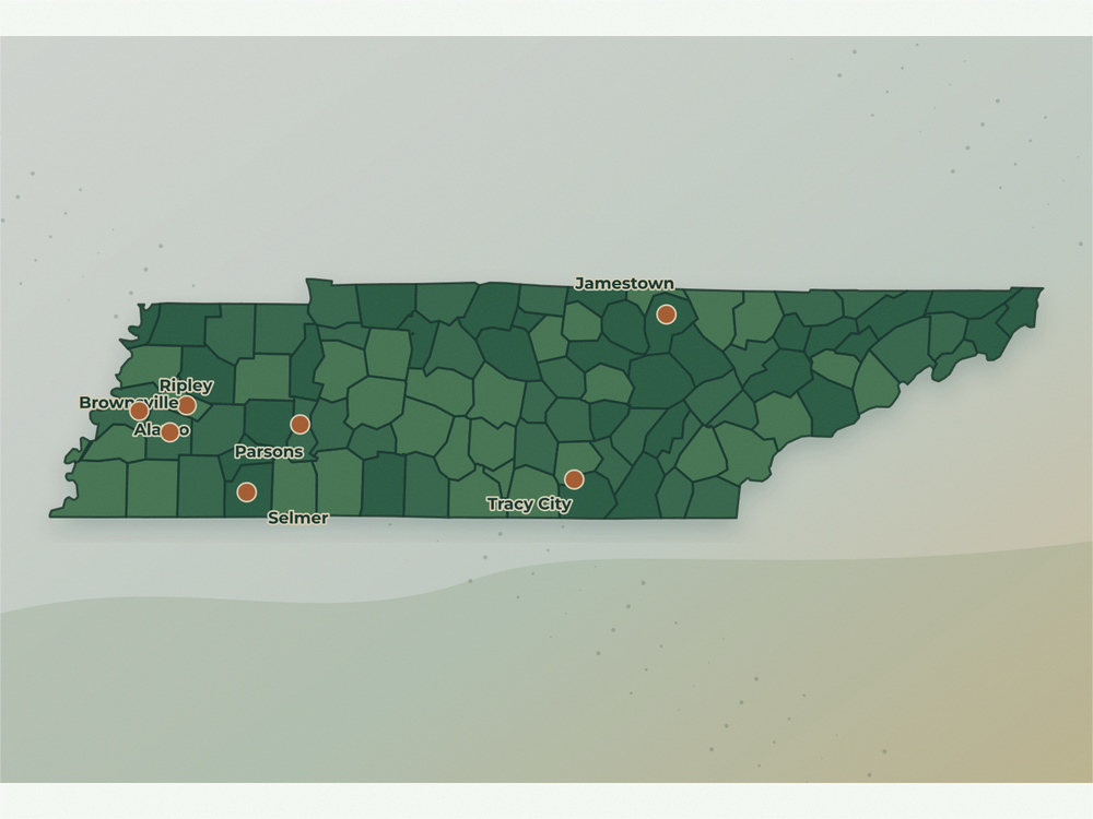 Accurate Tennessee land service area map showing Alamo, Alamo, Parsons, Jamestown, Tracy City, Brownsville, Ripley, Selmer, and Lafayette
